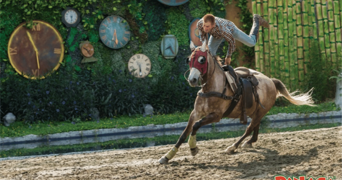 Panaca Park Tour von Pereira oder Armenia GetYourGuide