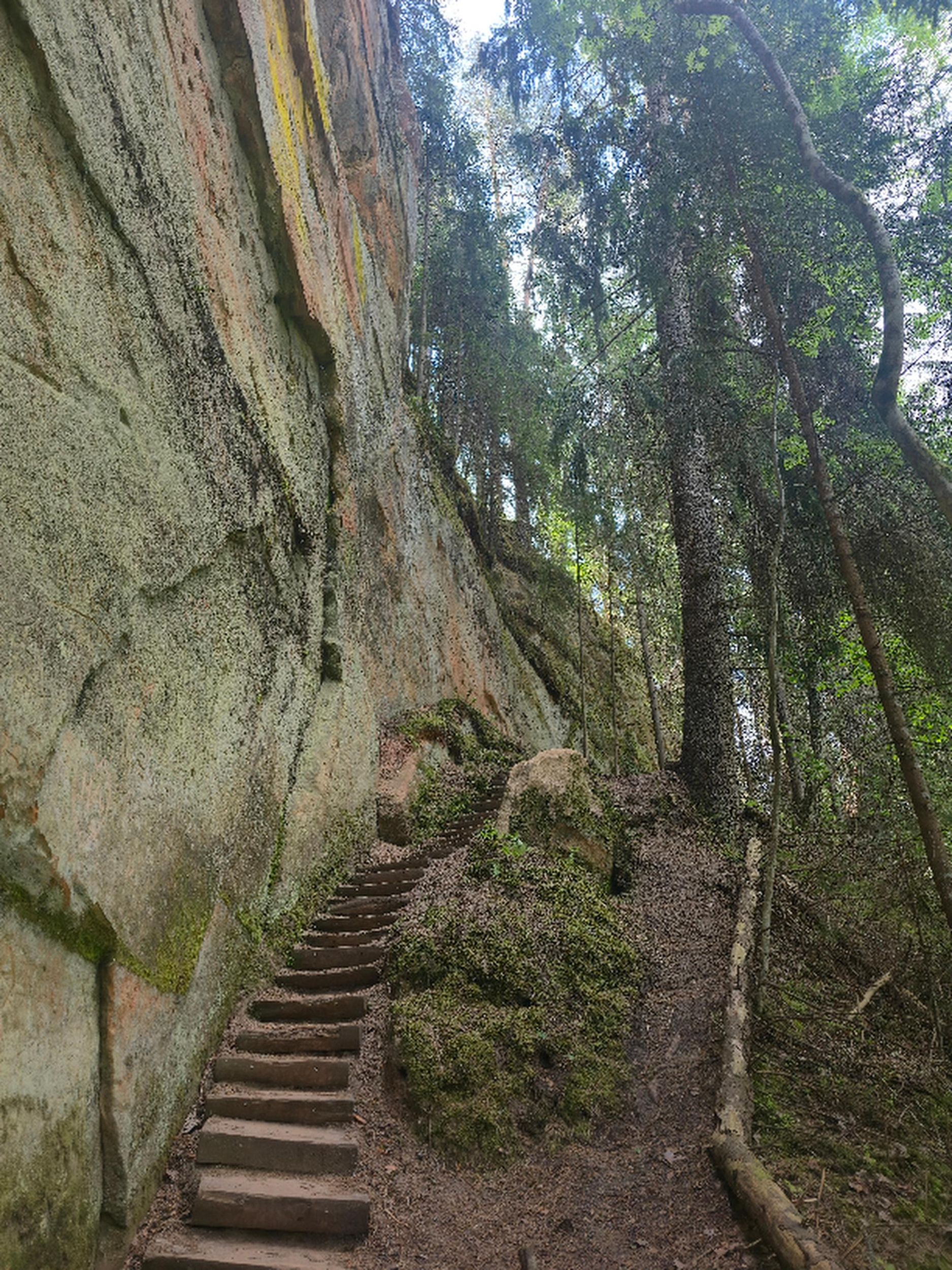 Riga: Wanderung zu den Līču-Laņģu-Klippen & geführte Tagestour nach Cēsis
