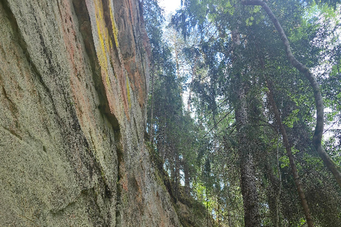 Riga: Līču–Laņģu Cliffs Hike & Cēsis Guided Day Trip