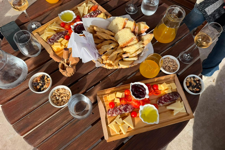 Colonia del Sacramento: Vineyard Tour & Special Wine Tasting