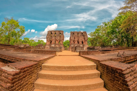 Polonnaruwa Ruins & Minneriya Wildlife Photo Tour