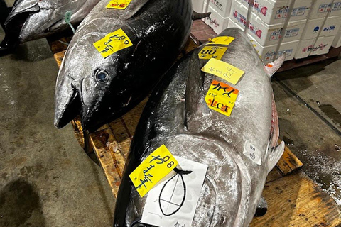 Tokyo - Fiskmarknad Tsukiji fiskmarknad - kulinarisk och pedagogisk rundturTokyo - Fiskmarknaden Tsukiji fiskmarknad Special Foodie Rundvandring