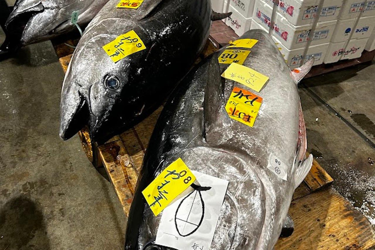 Tokyo - Fiskmarknad Tsukiji fiskmarknad - kulinarisk och pedagogisk rundturTokyo - Fiskmarknaden Tsukiji fiskmarknad Special Foodie Rundvandring