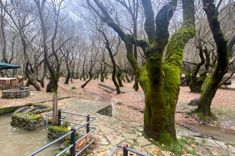 Athens: Kalavrita UNESCO Global Geopark & Pounta Beach Swim