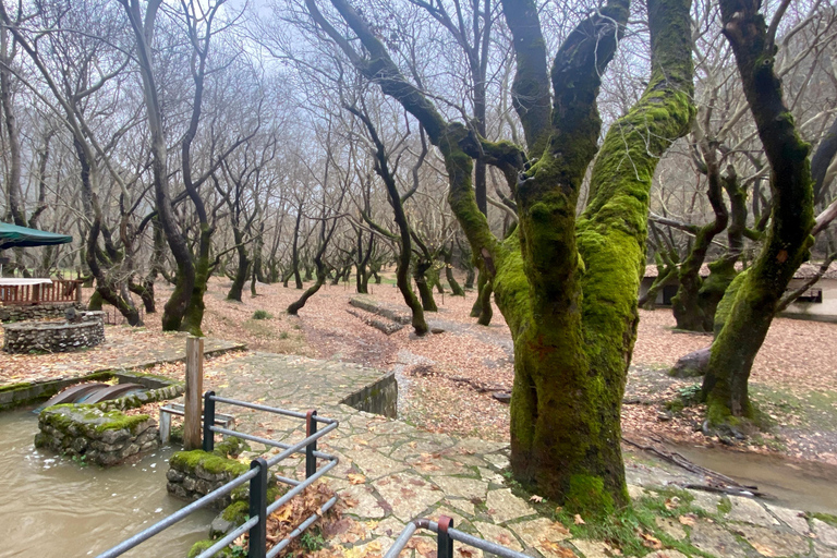 Athens: Kalavrita UNESCO Global Geopark & Pounta Beach Swim