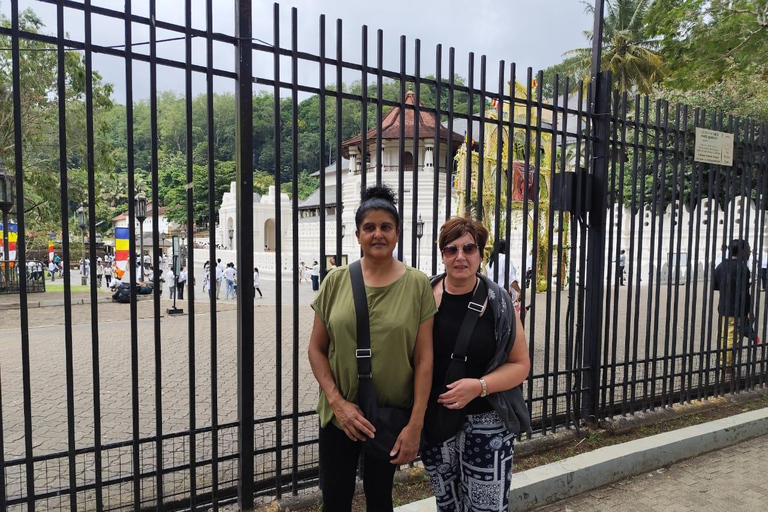 Colombo: Kandy Day Trip with Scenic Hill Country Train Ride
