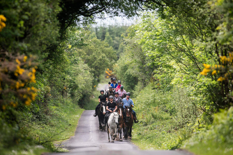 Horse riding the mountain trail. Clare. Guided, 2 hours