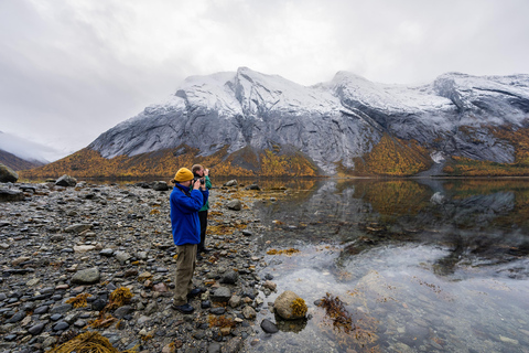 Esplora i fiordi norvegesi e la fauna selvatica da Abisko.