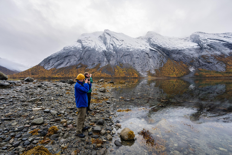 Verken de Noorse Fjorden en de wilde dieren vanuit Abisko.