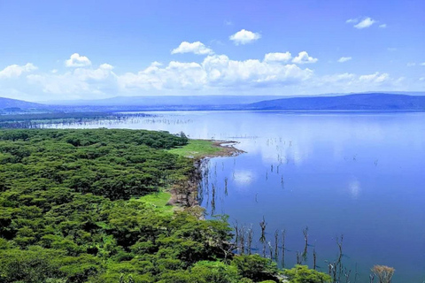 From Nairobi: Lake Nakuru National Park Safari Tour Landcruiser price