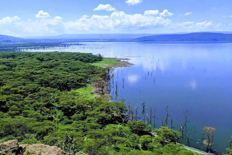 From Nairobi: Lake Nakuru National Park Safari Tour Landcruiser price