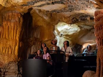Visite de Cassis, tour en bateau dans les Calanques et visite de la grotte Cosquer