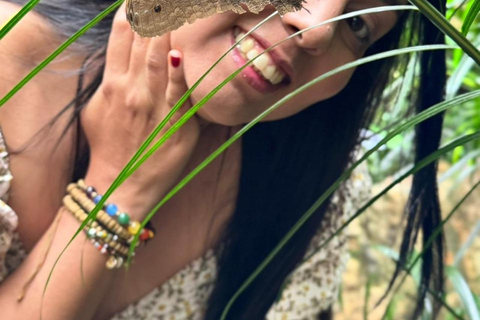 Andoke Butterfly House and Cristo Rey Tour