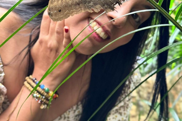 Andoke Butterfly House and Cristo Rey Tour