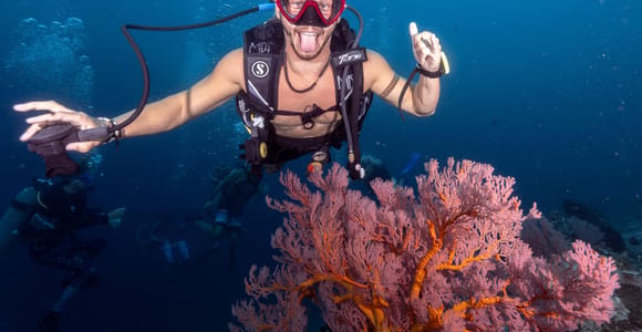 Gili Trawangan: Scuba for Certified Divers with Manta Dive