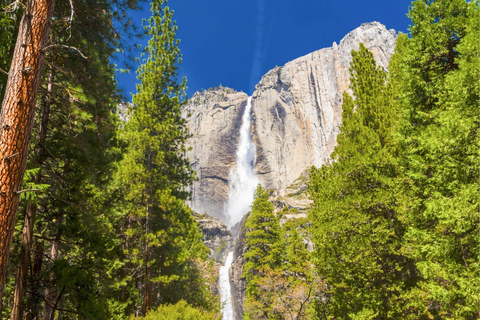 From San Francisco: Yosemite &amp; Tahoe Sierras 4-Day Trip