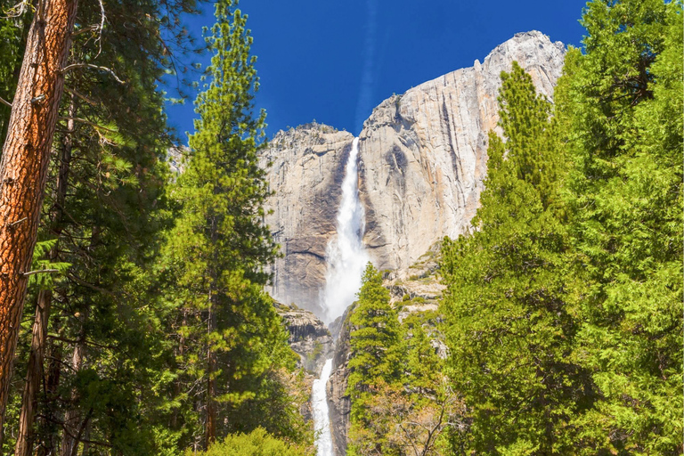 Z San Francisco: 4-dniowa wycieczka do Yosemite i Tahoe Sierras