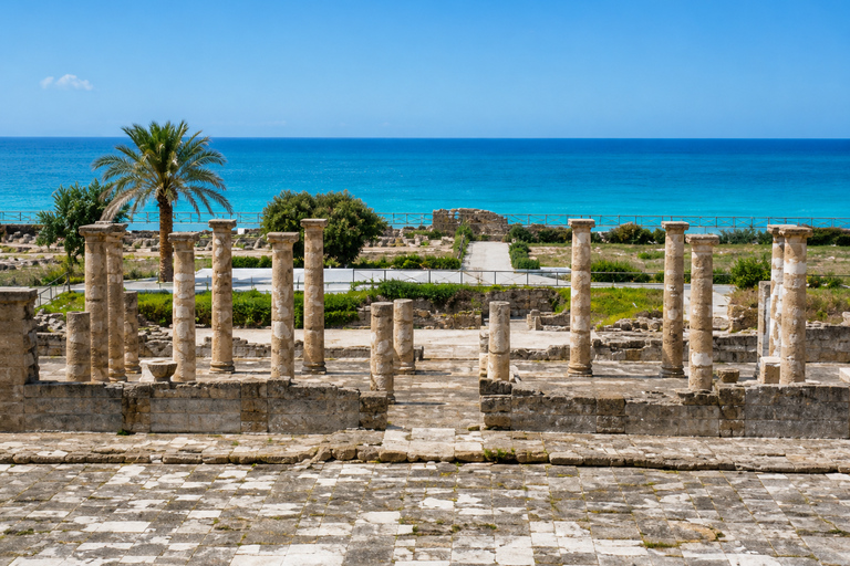 Tarifa: Baelo Claudia Guided Tour & Roman Dinning Experience