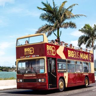 Miami: Hop-on Hop-off Bus Tour with Boat/Everglades Add-Ons