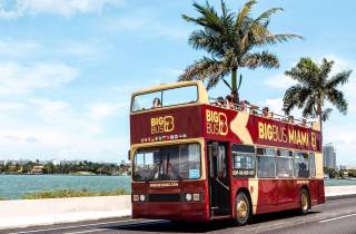 Miami: Sightseeing-Tour mit dem Hop-On/Hop-Off-Big Bus