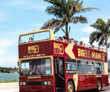Miami: Hop-on Hop-off Sightseeing Tour by Open-top Bus