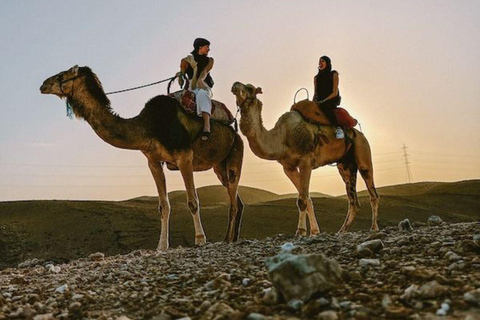 Marrakech: Camel & Quad Bike Tour with Sunset, Dinner & Show