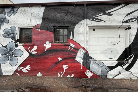 Denver: RiNo Street Art Stroll - Guided Art Walking Tour