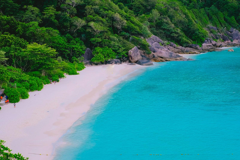 Phuket/Khaolak:Excursión de un día a las Islas Similan con buceo de superficie