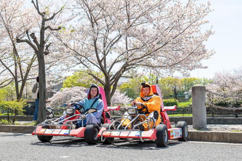 Passeio de kart em Shibuya com traje engraçado