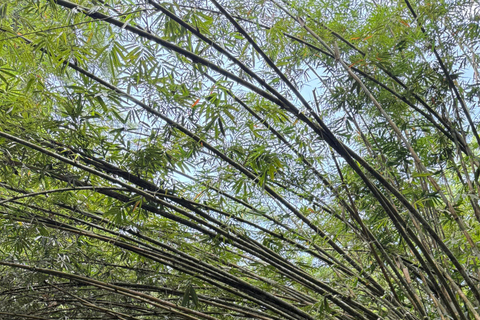 Ubud : Hidden Jungle River Tubing Adventure With Lunch Tubing Adventure with Lunch & Hotel Pickup