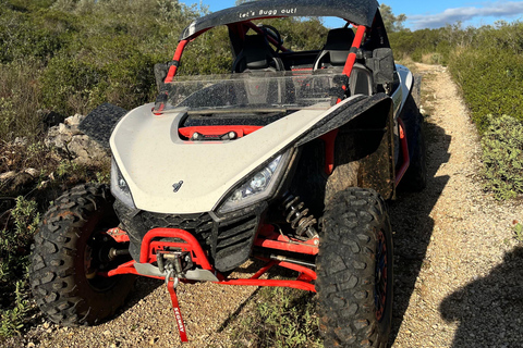 Coimbra: Buggy off-road adventure