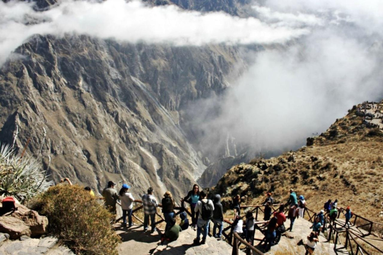 One day excursion to Colca Canyon + Transfer to Puno