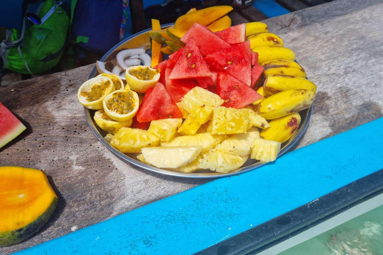 Zanzibar: Mnemba Island, Jozani forest & The Rock restaurant Private tour no Hotel pick up and drop-off included