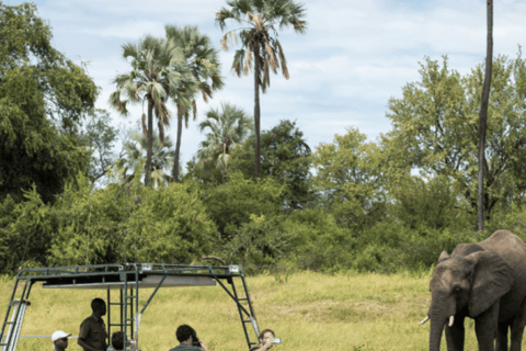 Zambezi River Safari with Lunch & Drinks