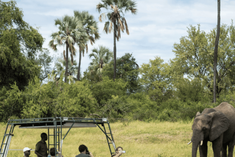 Zambezi River Safari with Lunch & Drinks