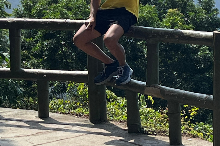 ريو دي جانيرو: جولة في غابة تيجوكا وبيدرا بونيتا بالسيارة