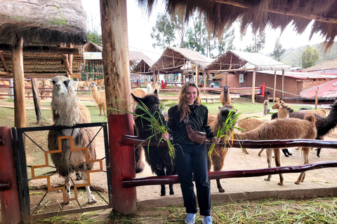 Cusco: Private Inca Ruins & Alpaca Sanctuary Tour