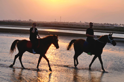 Paardrijden Oman