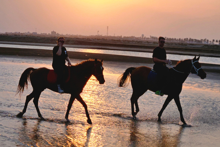 Équitation à Oman