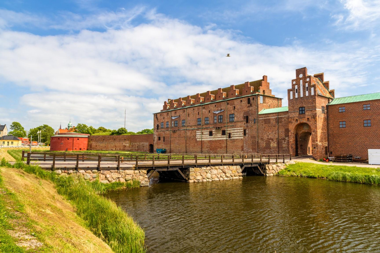 Copenhagen Day Trip to Malmo Old Town & Castle by Train/Car 6-hour: Malmo from Copenhagen by Private Car