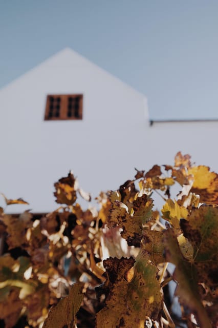 Cape Winelands Family Tour & Wildlife Encounter - Hizvo