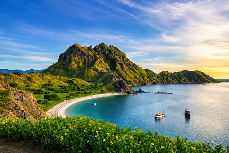 Labuan Bajo: Komodo Tour by Speedboat & Wooden Boat