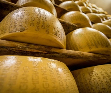 Reggio Emilia: Parmigiano Reggiano & Balsamic Vinegar Tour