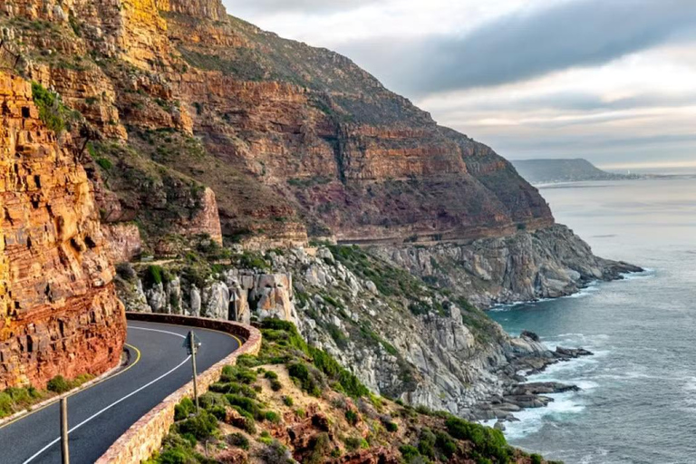 Private Tour: Table Mountain, Penguins Colony & Cape Of Good