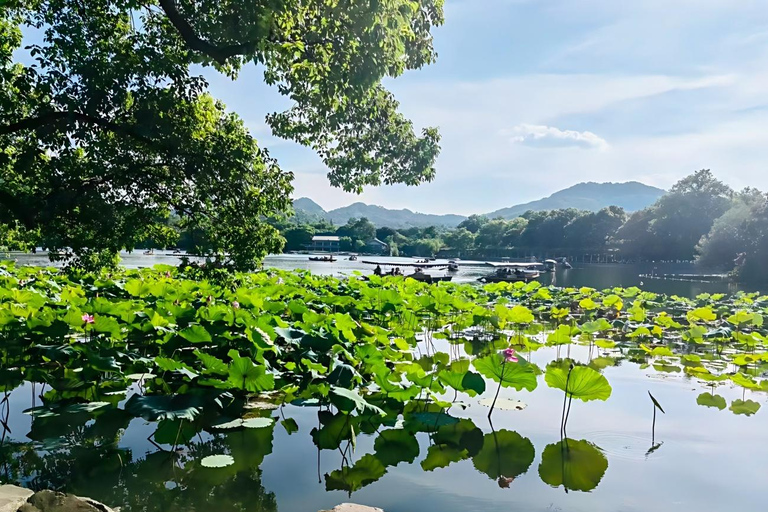 From Shanghai: One-Day Hangzhou Longjing Village Niche Tour