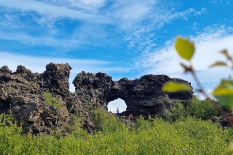 From Akureyri: Lake Mývatn & Dettifoss Private Tour