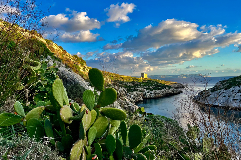 Gozo Unveiled Hiking: A Guided Hike Tour in Gozo- South East