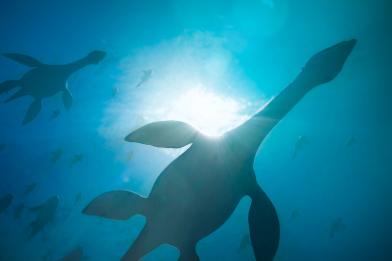 Bordeaux: Meet Dinosaurs in Virtual Reality -Life Chronicles