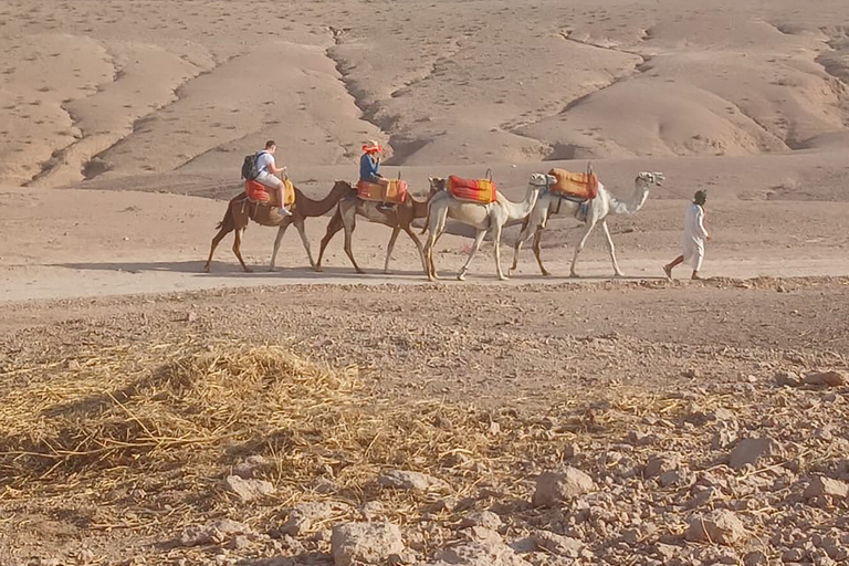 "Agafay Desert: Quad Biking, Camel Ride, Lunch & Pool"