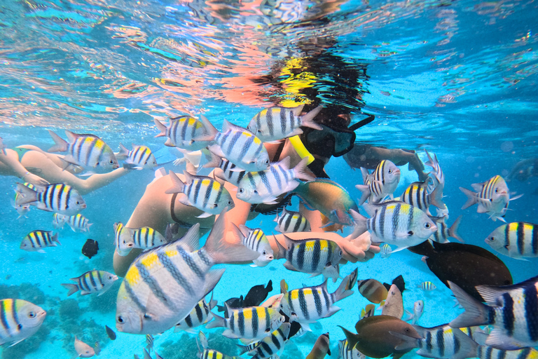 Shared 3 Gili Islands Snorkeling Tour with Turtles & Reefs